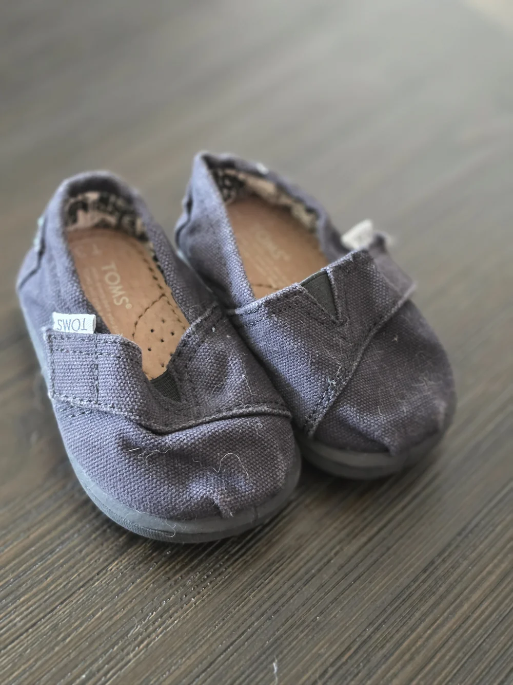 TOMS Baby 3 Gray Slip-On Shoes